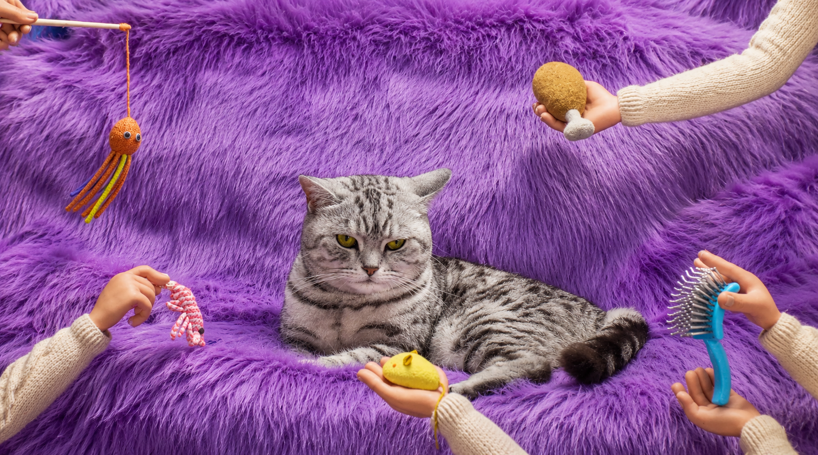Gato gris rodeado de juguetes y premios en la imagen principal del artículo sobre los mejores comerciales y campañas de Whiskas.